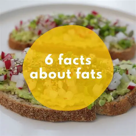 Understanding the Role of Fats in Our Diet