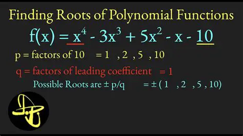 Understanding the Roots of a Polynomial Function