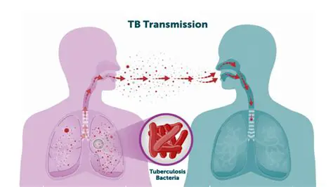 Understanding the Spread of Tuberculosis in North Sumatra