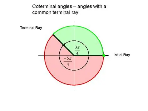 Understanding the Terminal Ray