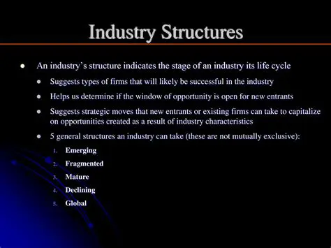 Understanding the TPT Industry Structure in Indonesia