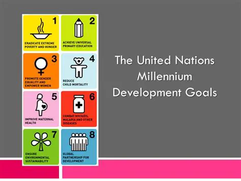 Understanding the UN Millennium Development Goals