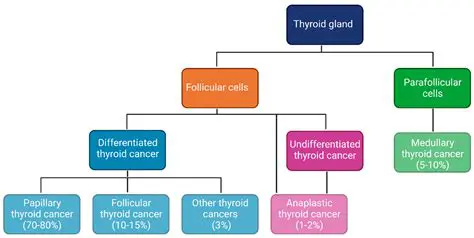 Understanding Thyroid Tumors and the Importance of Accurate Diagnosis
