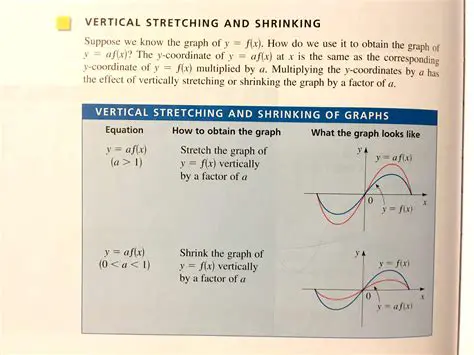 Understanding Vertical Stretching in Functions