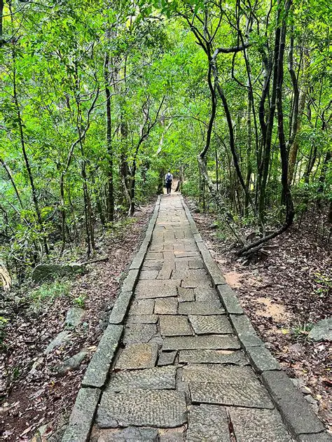 Unearthing the Treasures of Travis Scott: A Deep Dive into His Cultural Impact and Iconic Legacy