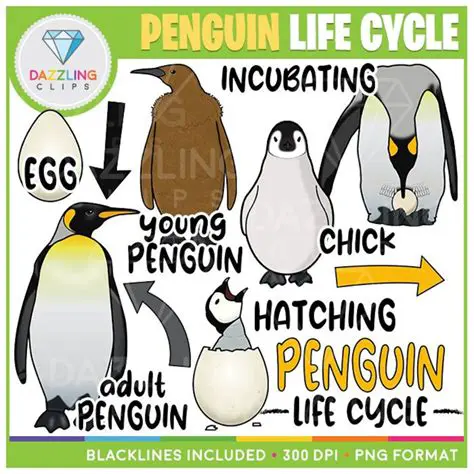 Unique Aspects of Penguin Life Cycles