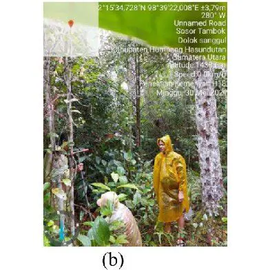 Unlocking the Potential of Humbang Hasundutan