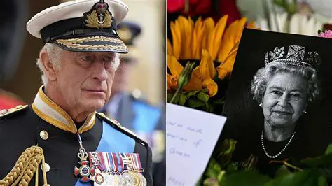 Unveiling the Legacy: A Deep Dive into the World of Champions