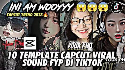 Unveiling Vol 4: Lubis Promedia's Latest Viral TikTok Jedag Jedug Compilation of 2022