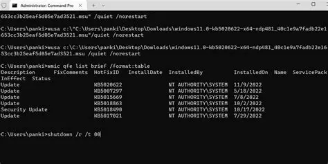 Update the system and install the required packages