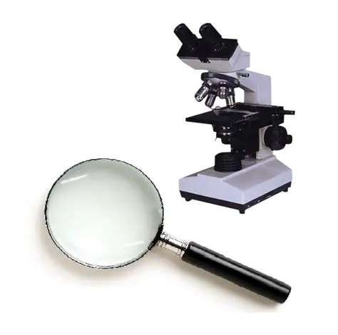 Use a magnifying glass or microscope
