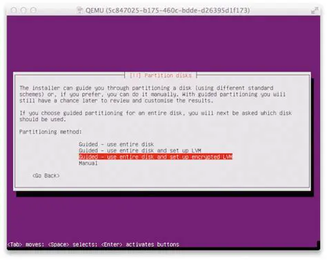 Use entire disk and set up encrypted LVM