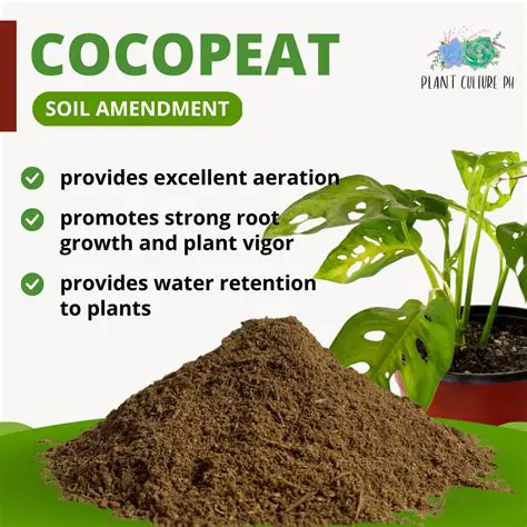 Use of cocopeat as a soil amendment