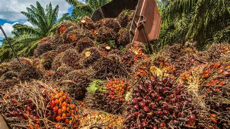 Use of oil palm factory waste as a planting medium