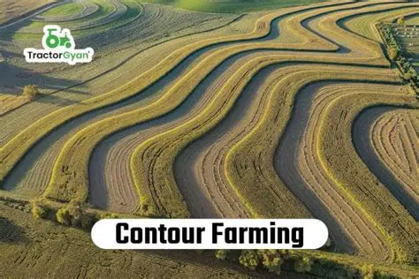 Use terracing and contour farming
