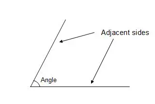 Using the Concept of Adjacent Sides