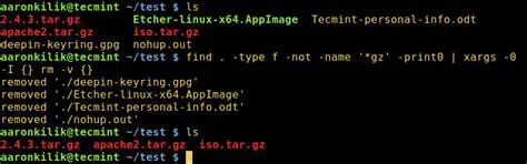 Using xargs to Delete Files