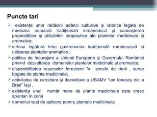 Utilizarea unor surse istorice