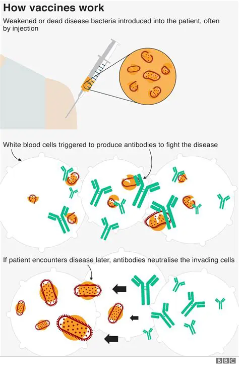 Vaccinate against bacterial infections