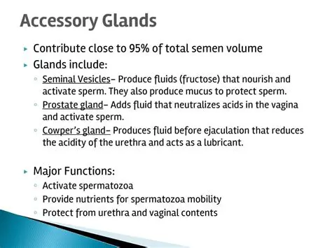 Vaginal and seminal fluids