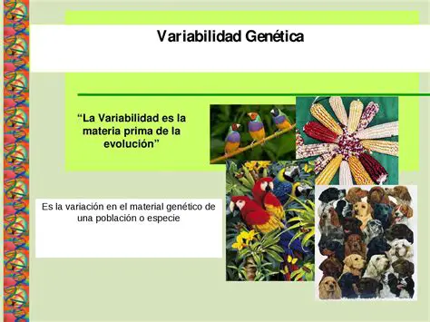 Variabilidad en la lectura