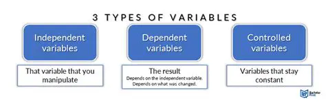 Variables Used in the Study