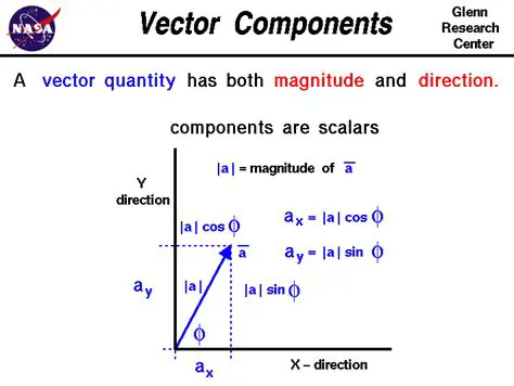 Vectors and Their Components