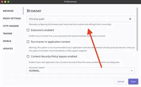 Verify Browser Path and User Data
