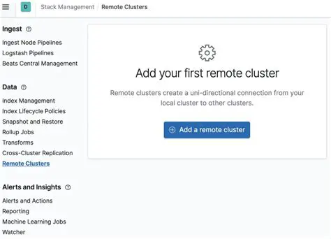 Verify the remote cluster API Server