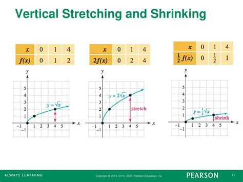 Vertical Stretching and Shrinking