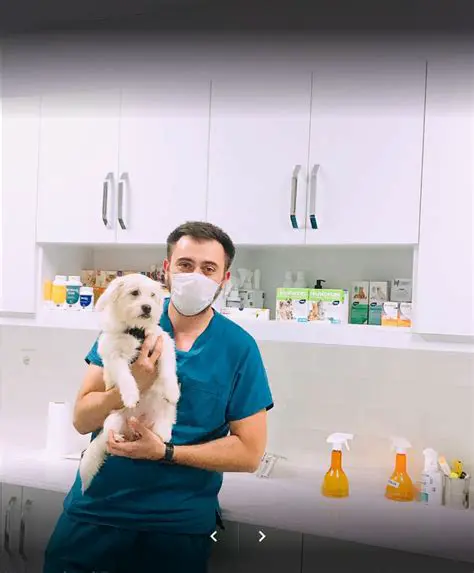 Veterinerler ve Rollerleri