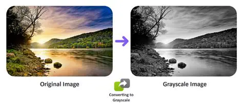 View patterns in grayscale and color