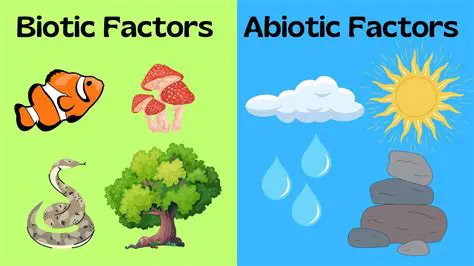 Ways Biotic Factors Can Affect Each Other