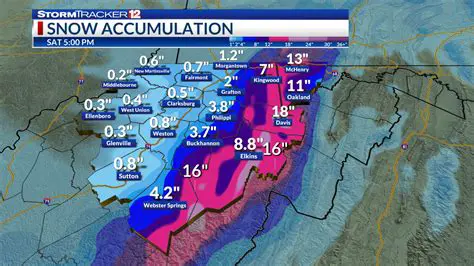WBOY 12 News: Your Definitive Guide to West Virginia Winter Weather and the 'Snowbird' Phenomenon