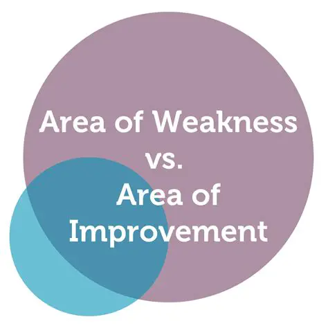 Weaknesses and Areas for Improvement