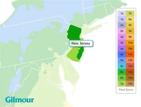 Weather New Jersey: Your Comprehensive Guide to NJ's Climate & Forecasts