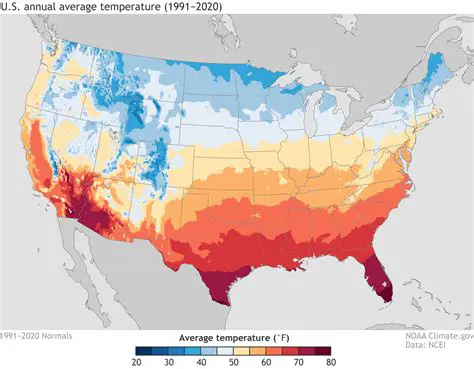 The Weather in the USA: A Comprehensive Guide to Climate and Seasonal Variations