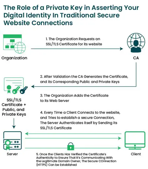Where the Platform Holds the Private Keys