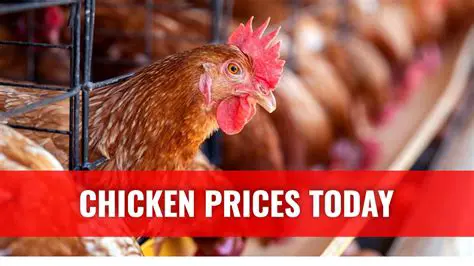 Unveiling Today's White Chicken Price: Market Trends and Consumer Insights
