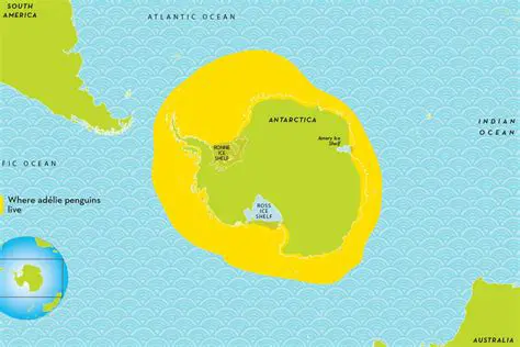 Why a Map is the Best Choice