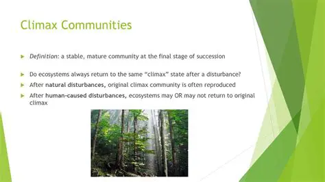 Why Climax Communities Experience Change