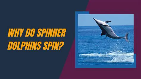 Why the Spinner Disappears
