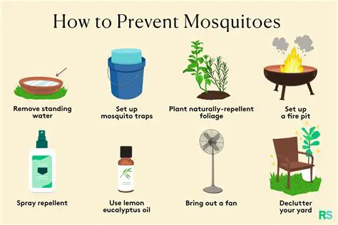 Why We Need to Eliminate Mosquitoes Before They Breed