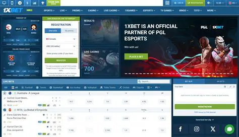 Wide Range of Betting Options