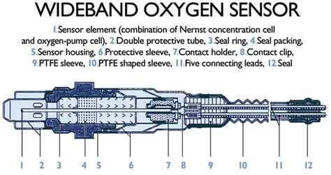 Wideband Oxygen Sensor Basics