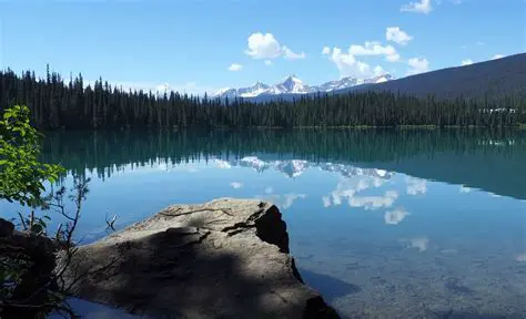 Wild About British Columbia