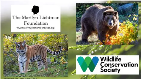 Wildlife Conservation Society