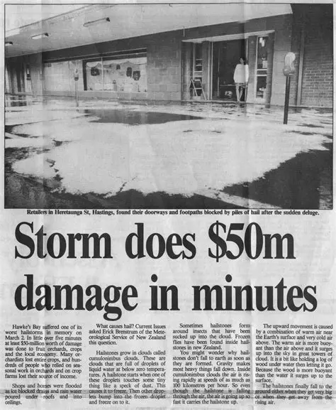 Unraveling the Author's Purpose in a Winter Storm Newspaper Article