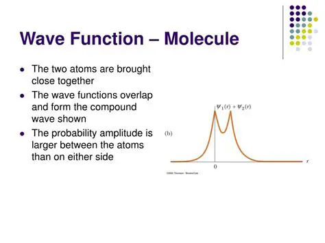 Write the wave function of the field