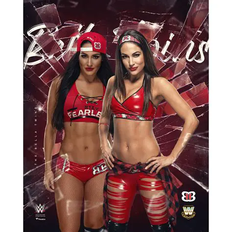 A Look Back: Paige and Natalya vs. Brie Bella and Alicia Fox – A Memorable WWE Clash